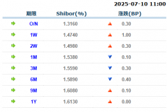 货币市场日报:7月10日