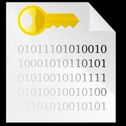 白宫数字资产报告预览版发布 特朗普倡导的“加