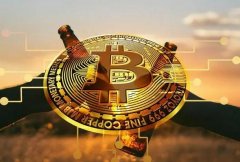 什么是币圈庄家?一文带你搞懂币圈庄家