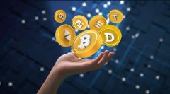 10个月从估值2200亿到破产币圈第二大交易所完了